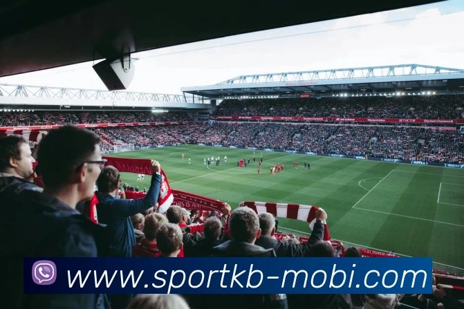 KB体育平台生态图